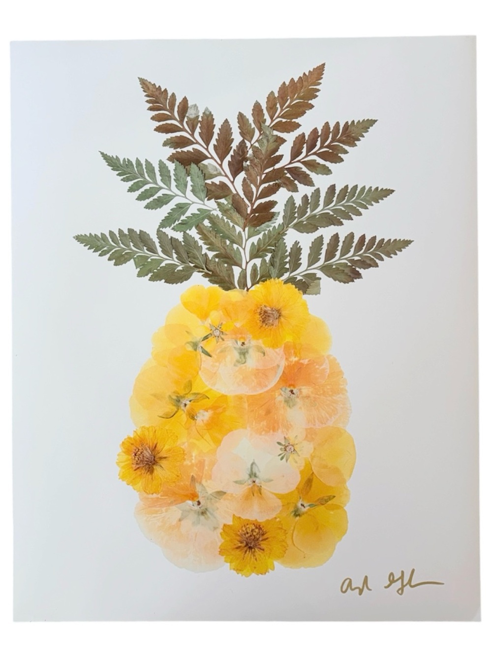 Oxeye Botanical Pineapple Pressed Flower Wall Art Print